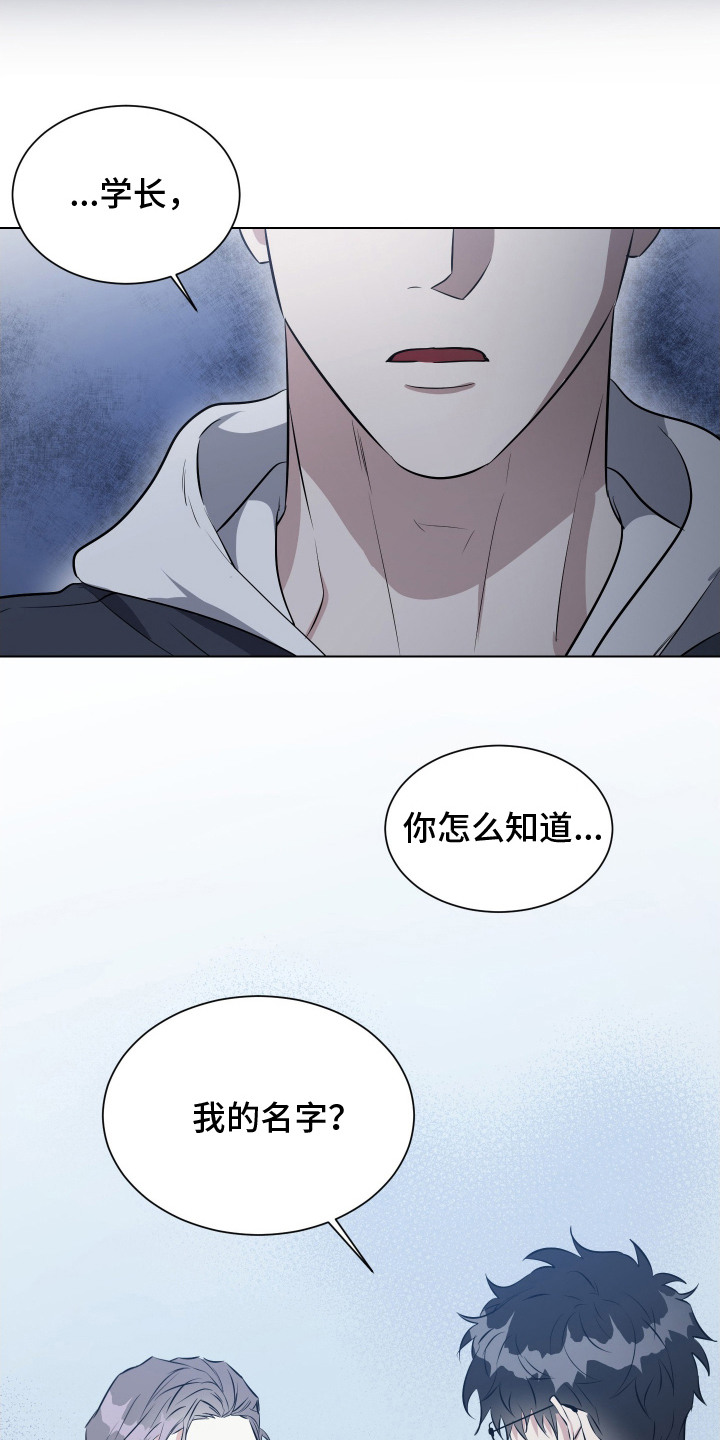 红蛇梦魇 - 检查 - 第7页