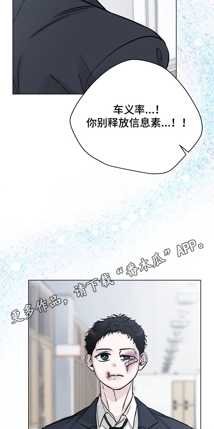 无感禁区 - 分化 - 第12页