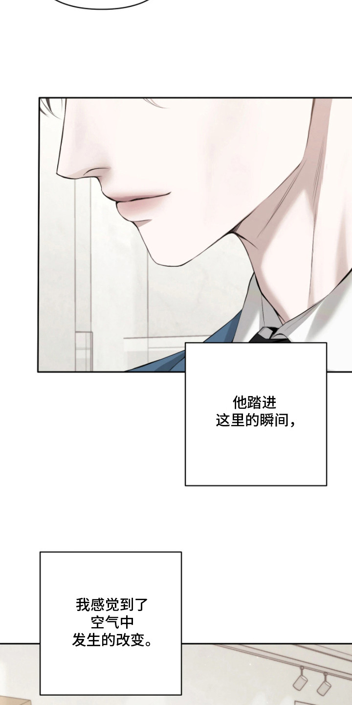 黄金阿尔法 - 黄金阿尔法 - 第17页