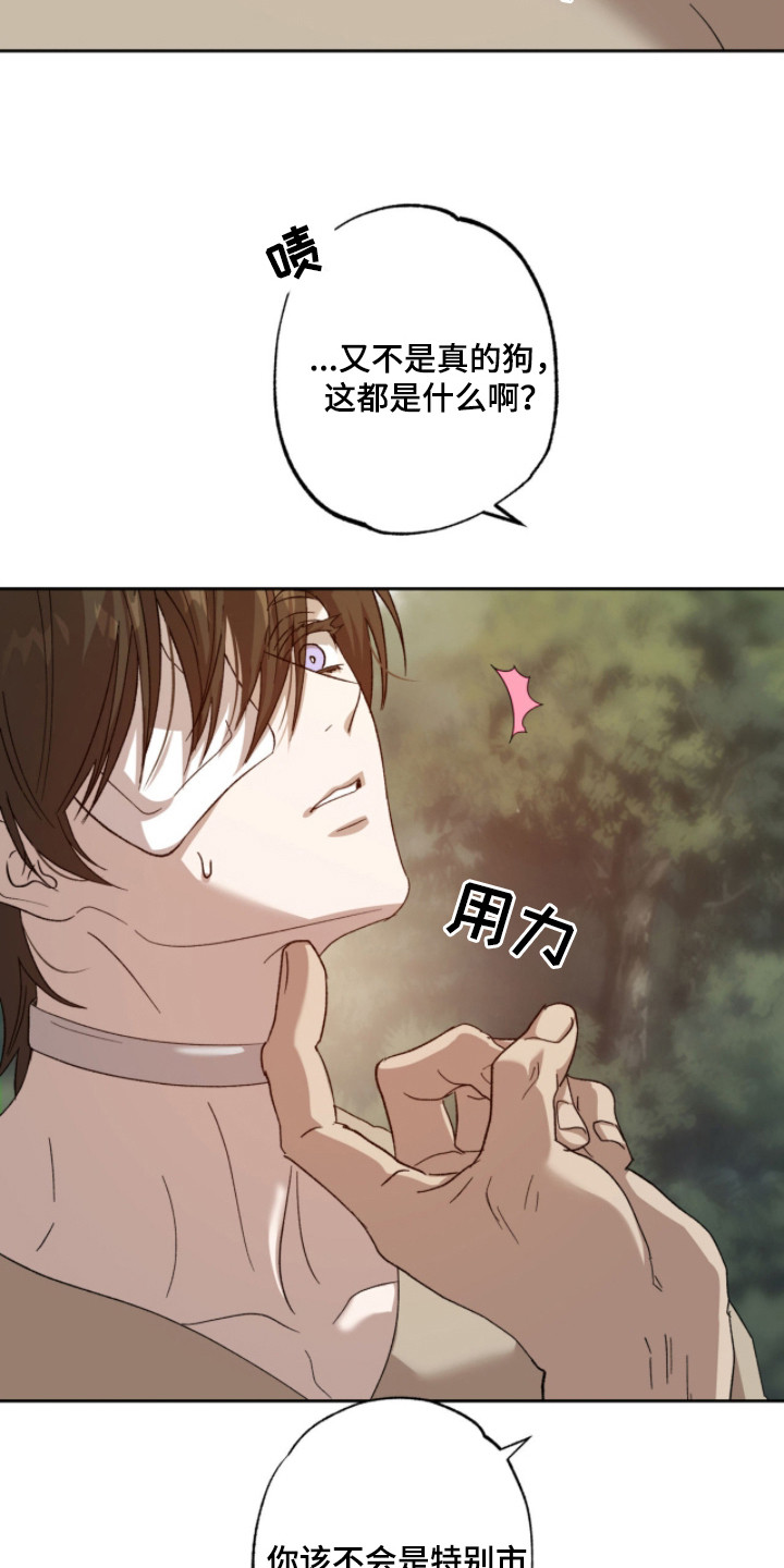 双生悲愿 - 取名 - 第10页