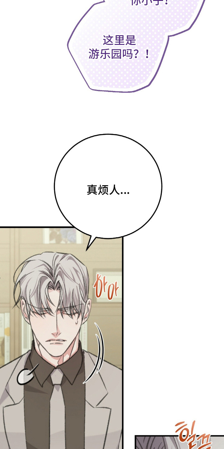 越界助理 - 被打搅 - 第11页
