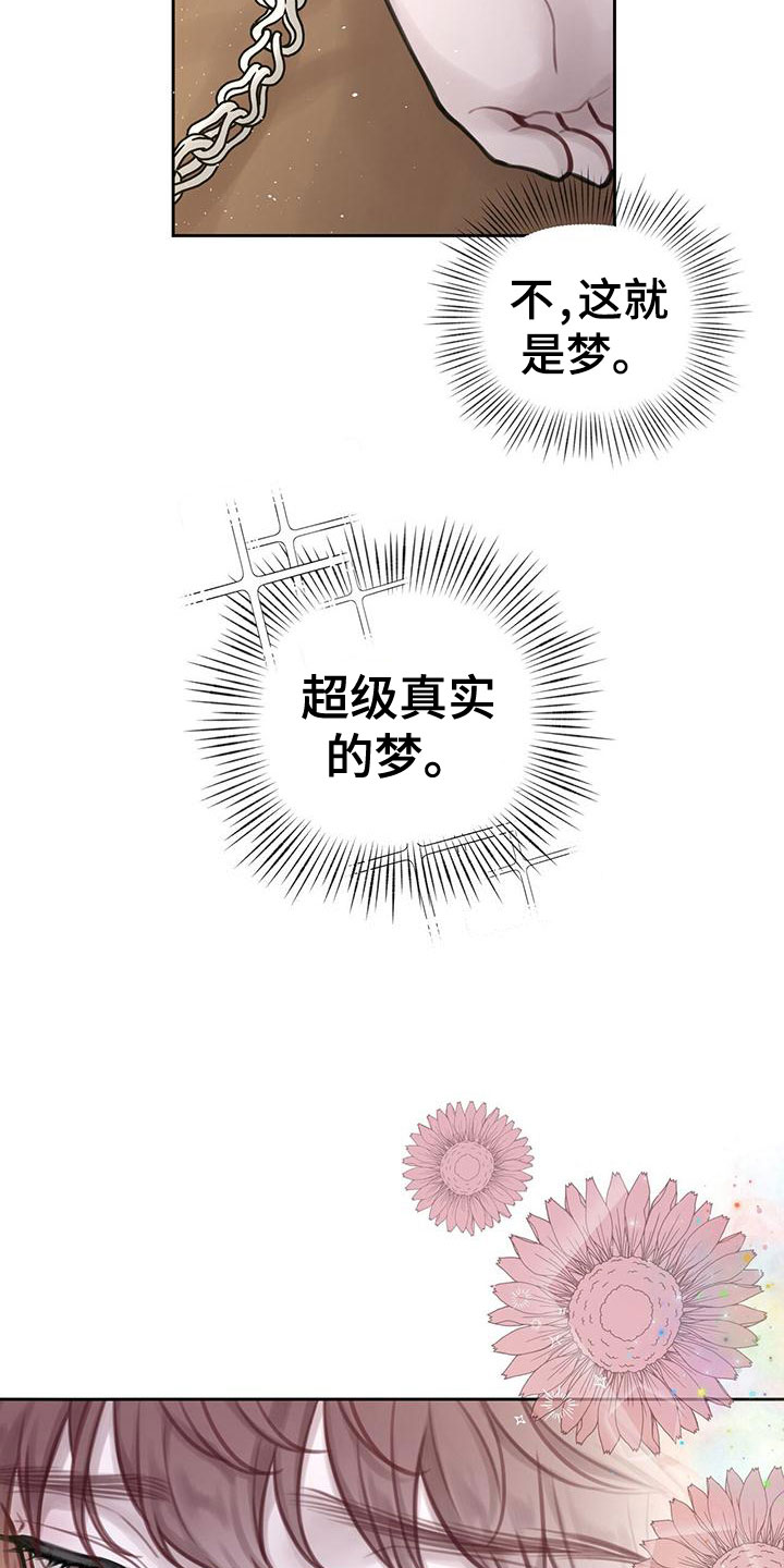 囚笼日志 - 最棒的梦 - 第31页