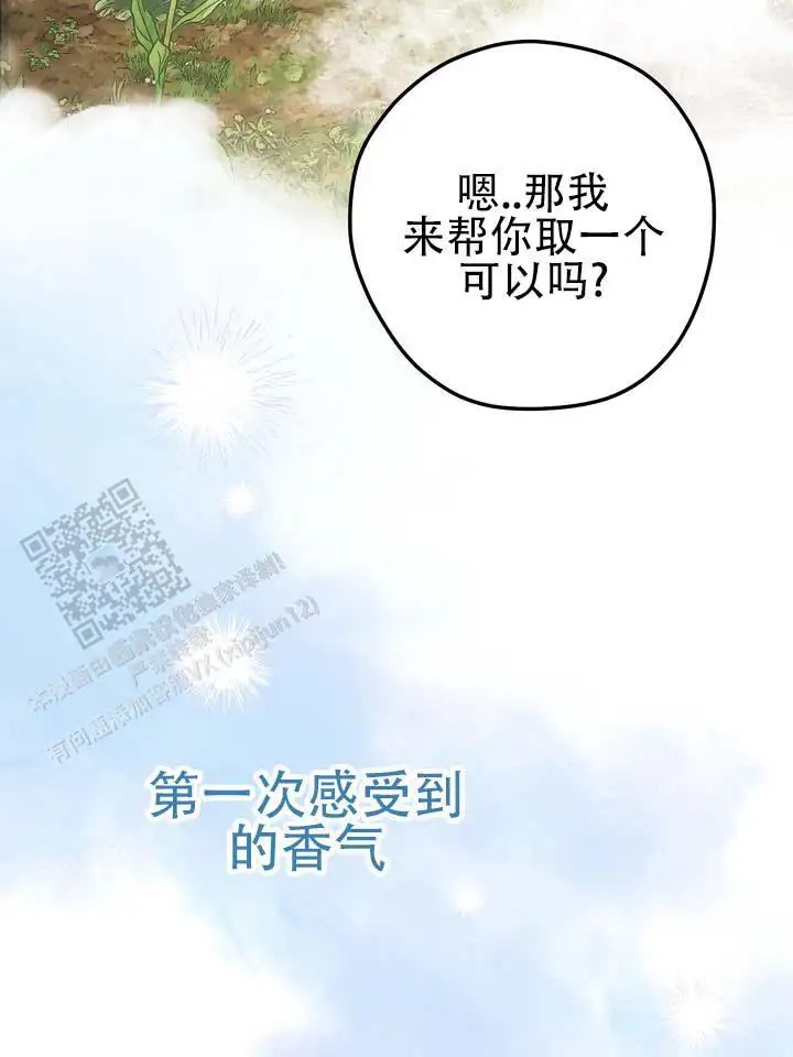 永生之庭 - 容光焕发 - 第32页
