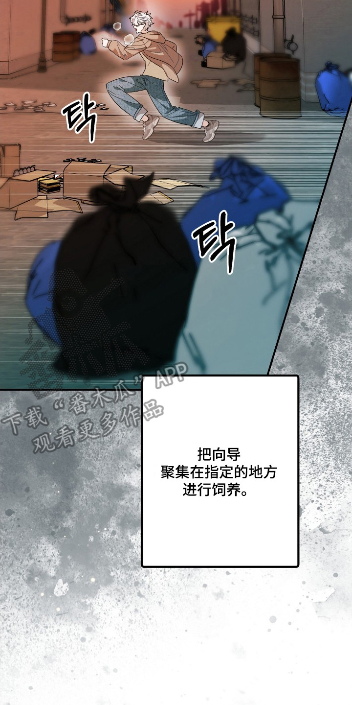 乌托邦牢笼 - 末世 - 第19页