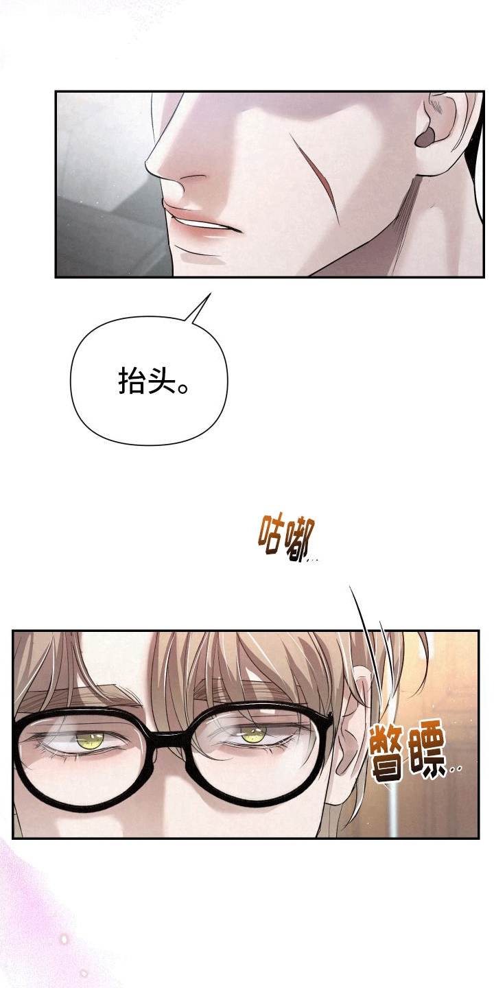 深刻疏导 - 分化成为异能者 - 第11页