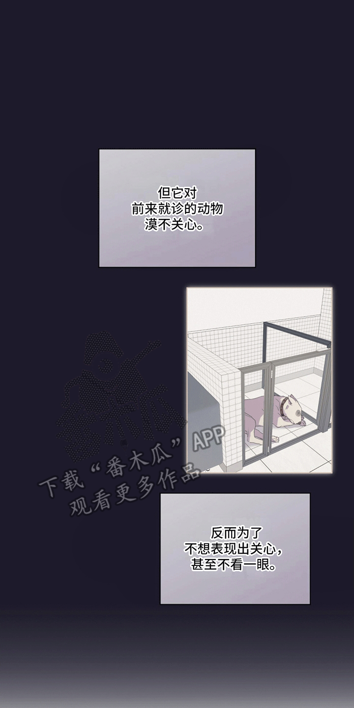 呼吸的记忆 - 受伤 - 第20页