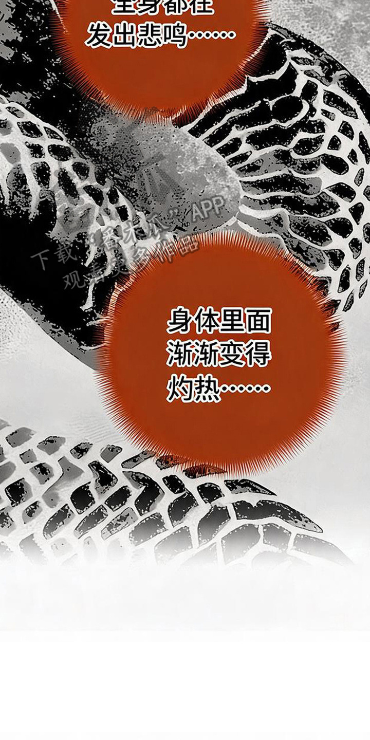 毒吻成契 - 悲鸣声 - 第23页