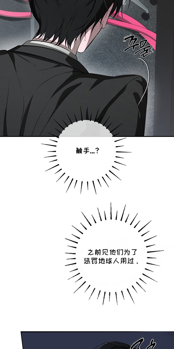 塔中猎物 - 触手 - 第12页