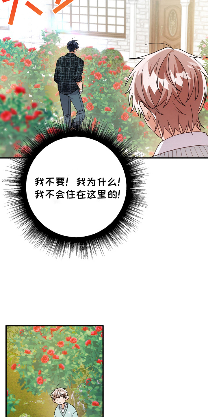 玫瑰庭院 - 正面突破 - 第10页