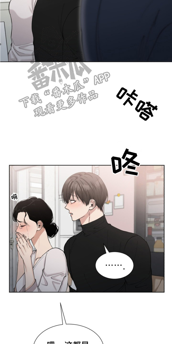 双向反转 - 解释 - 第15页