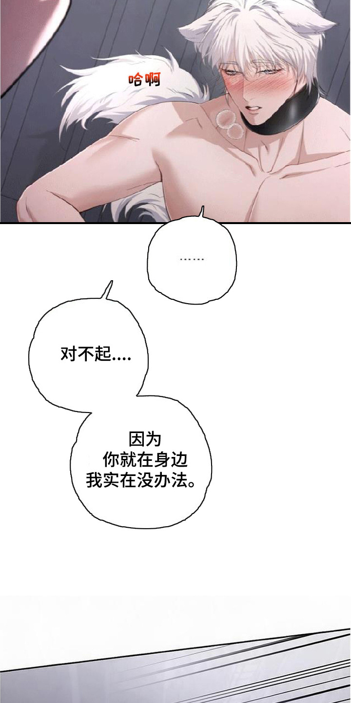 星光狼影 - 委屈 - 第21页