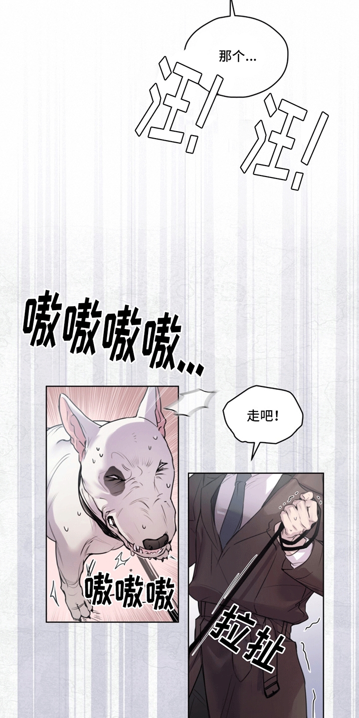呼吸的记忆 - 兽医 - 第34页