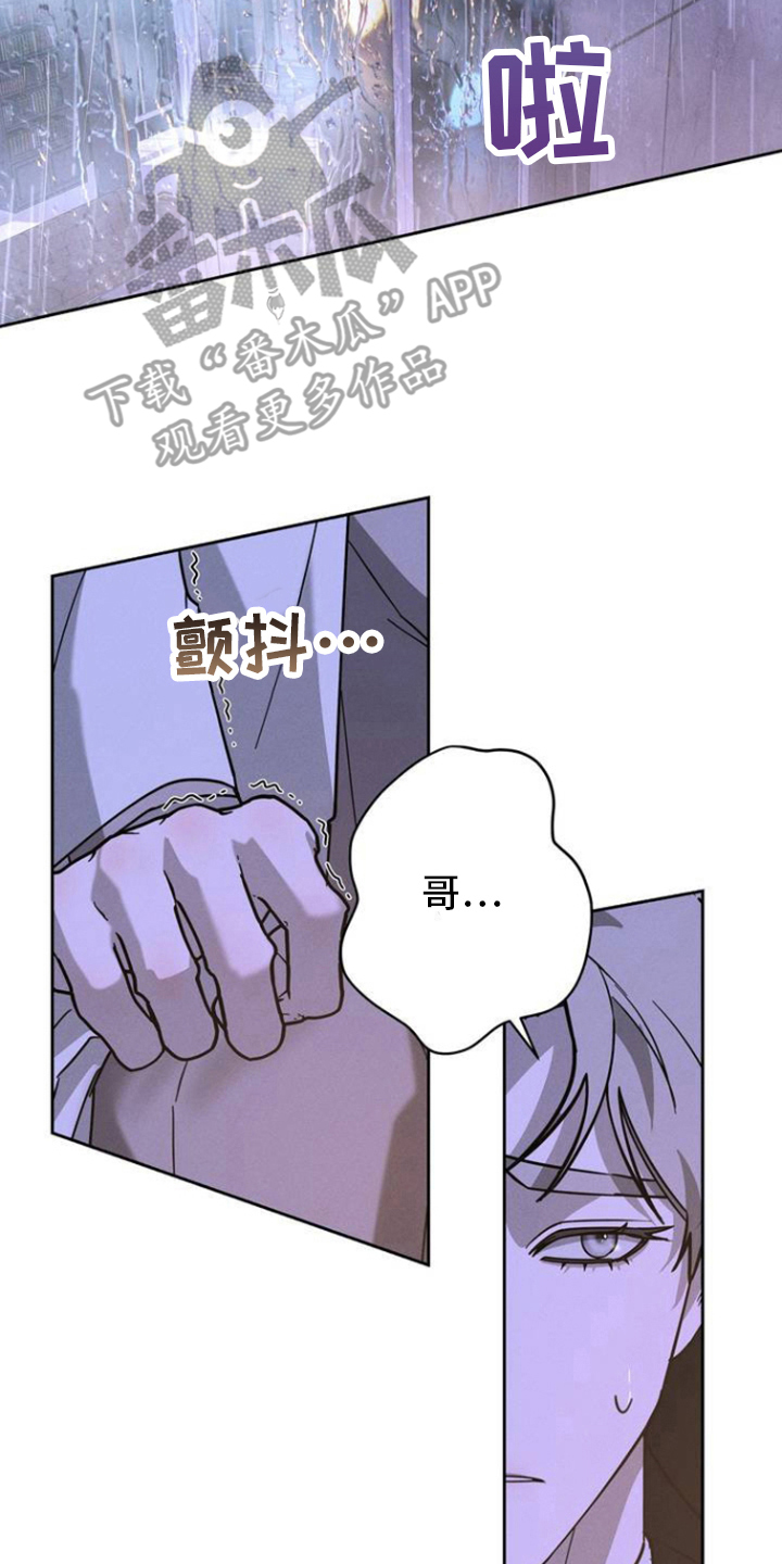 反转协议 - 继承权 - 第11页