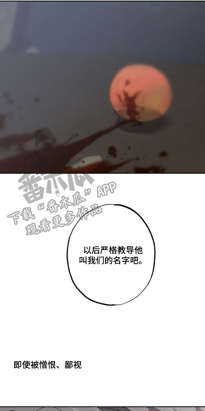 双生悲愿 - 憎恨 - 第30页