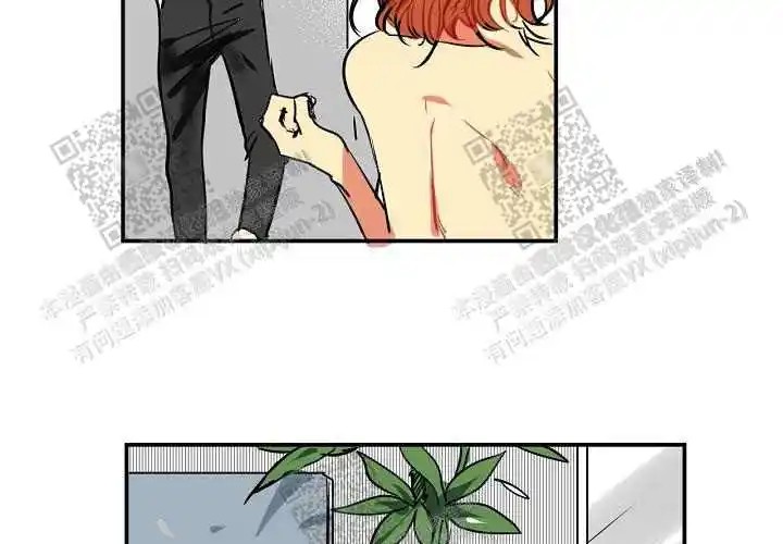 让我做就做 - 绝了… - 第5页