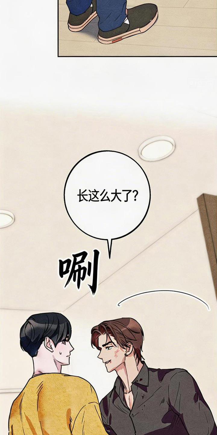 等你说喜欢 - 重逢 - 第9页