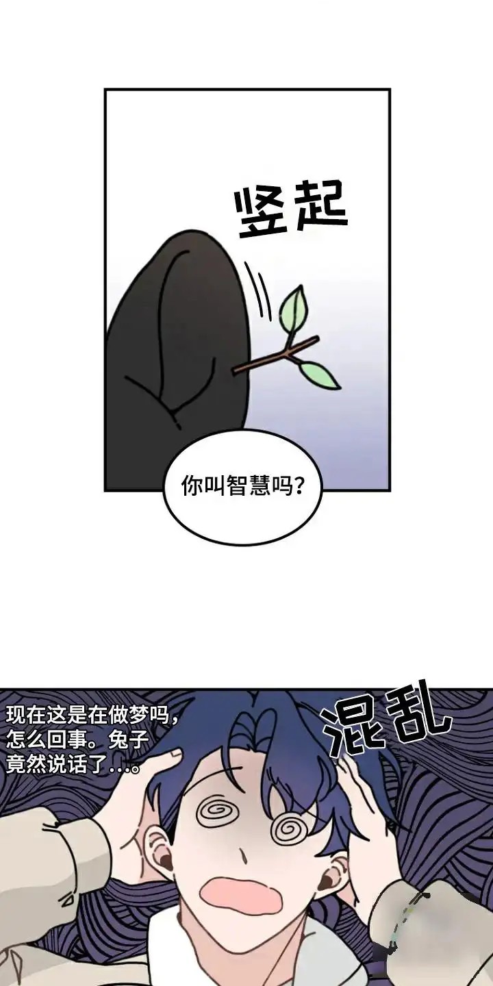 兔兔王子 -   - 第6页