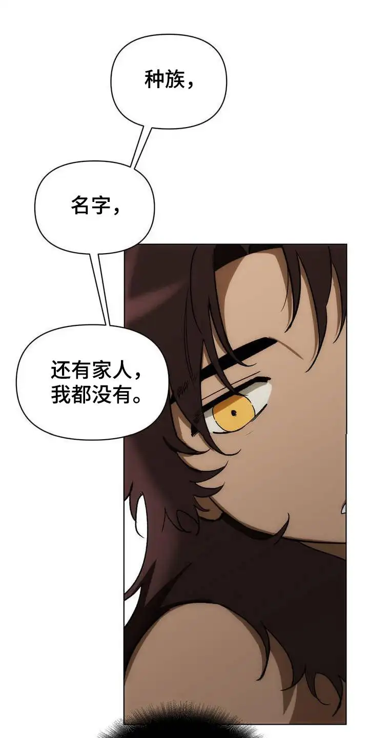 雨林让你幸福 - 部族的希望 - 第21页