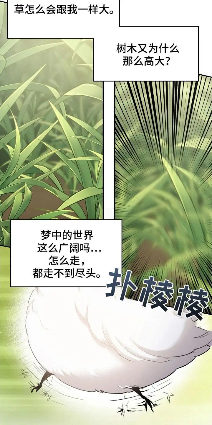 白鸟奇遇记 - 白色小鸟 - 第13页