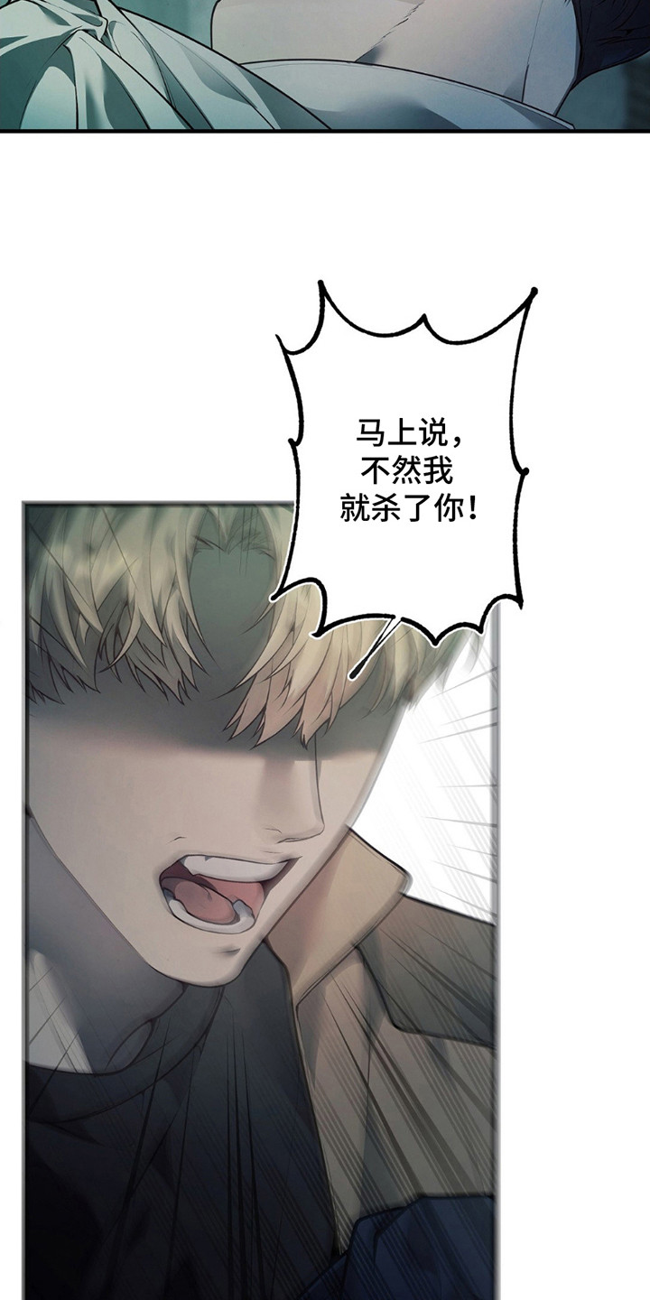 普雷 - 线索 - 第13页