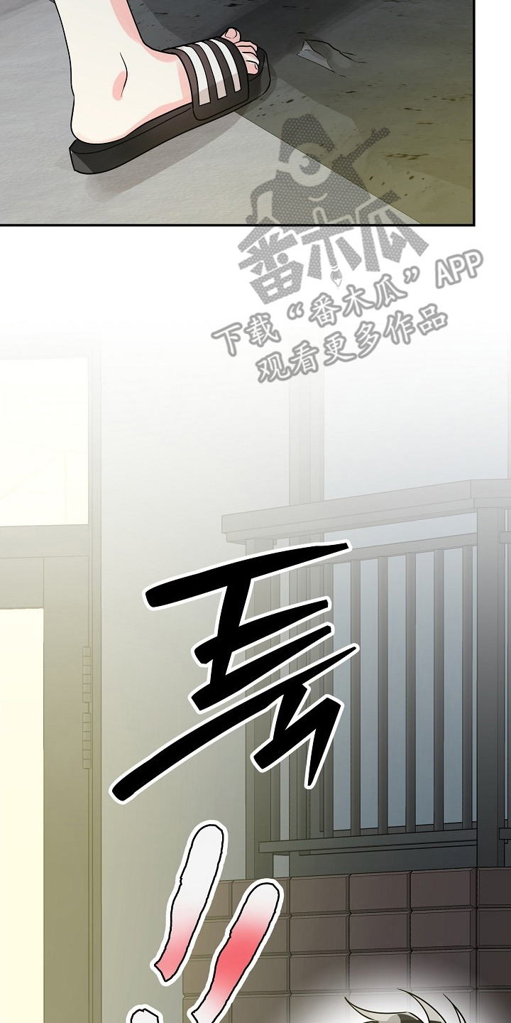 独家取材 - 偶遇 - 第12页