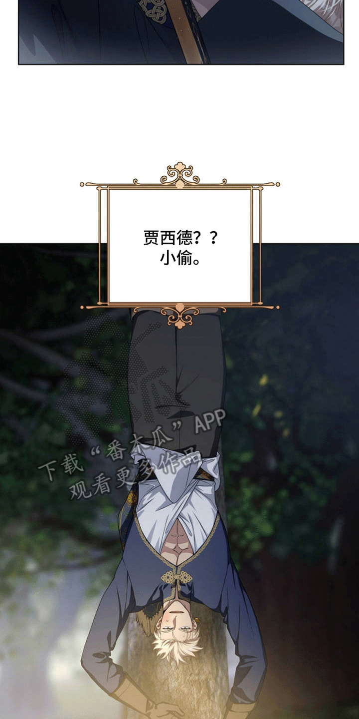 人龙之战 - 小偷 - 第15页