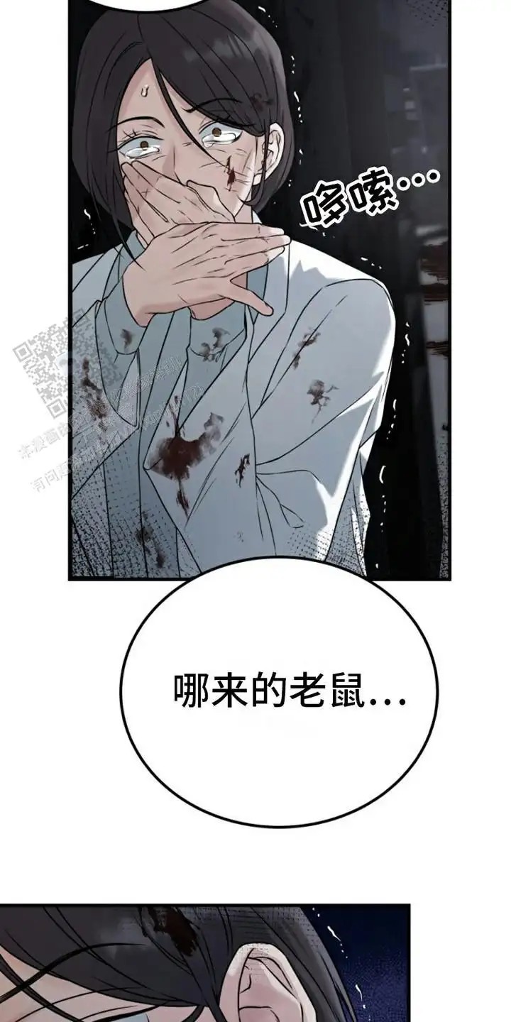 特殊实验 - 老鼠 - 第18页