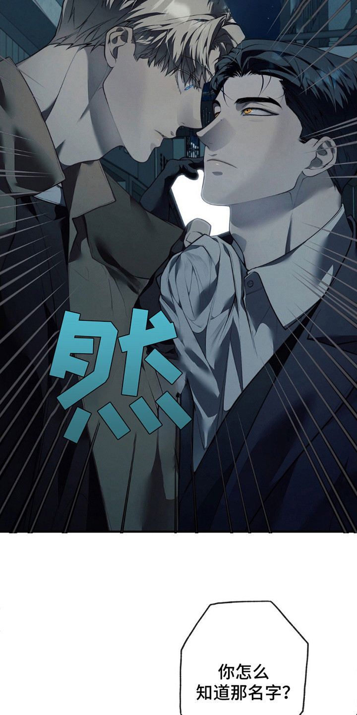 普雷 - 线索 - 第11页