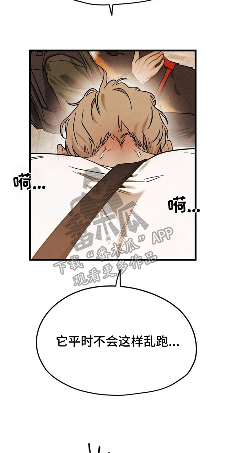 异国替身 - 相似 - 第13页