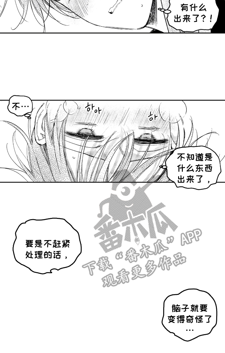 虚假的另一个他 - 变奇怪 - 第17页