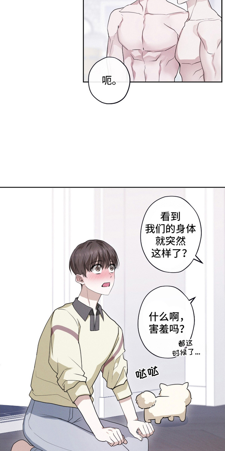 愿望热线 - 害羞 - 第13页
