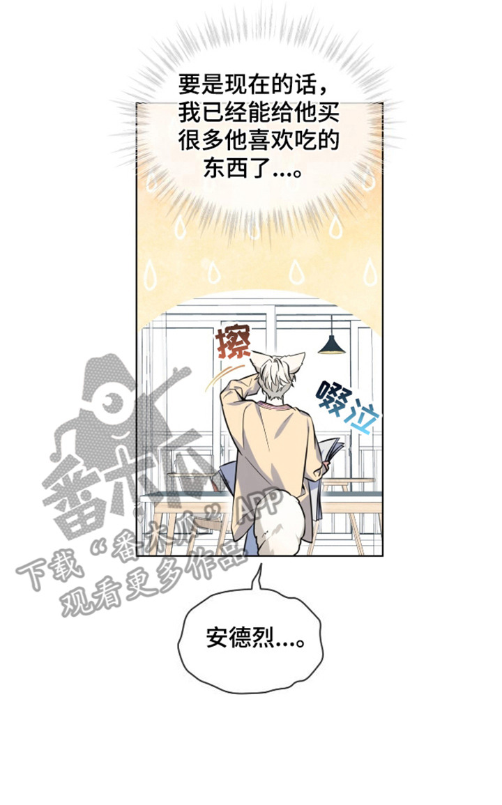 狐狸特饮 - 原材料 - 第24页