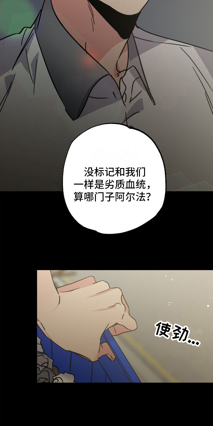 划过流星的宇宙 - 劣质基因 - 第14页