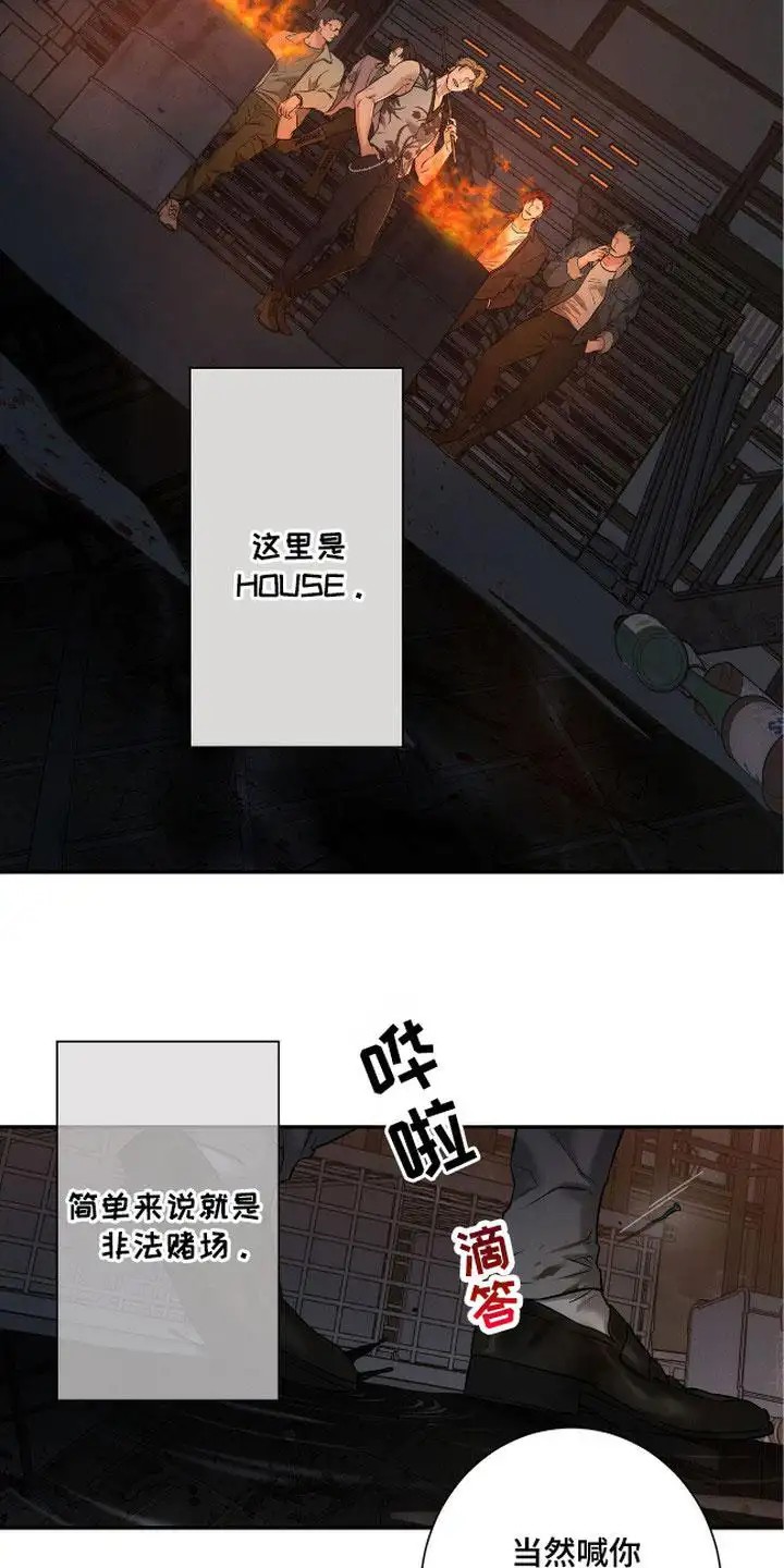 三月的樱花 - 称呼 - 第5页