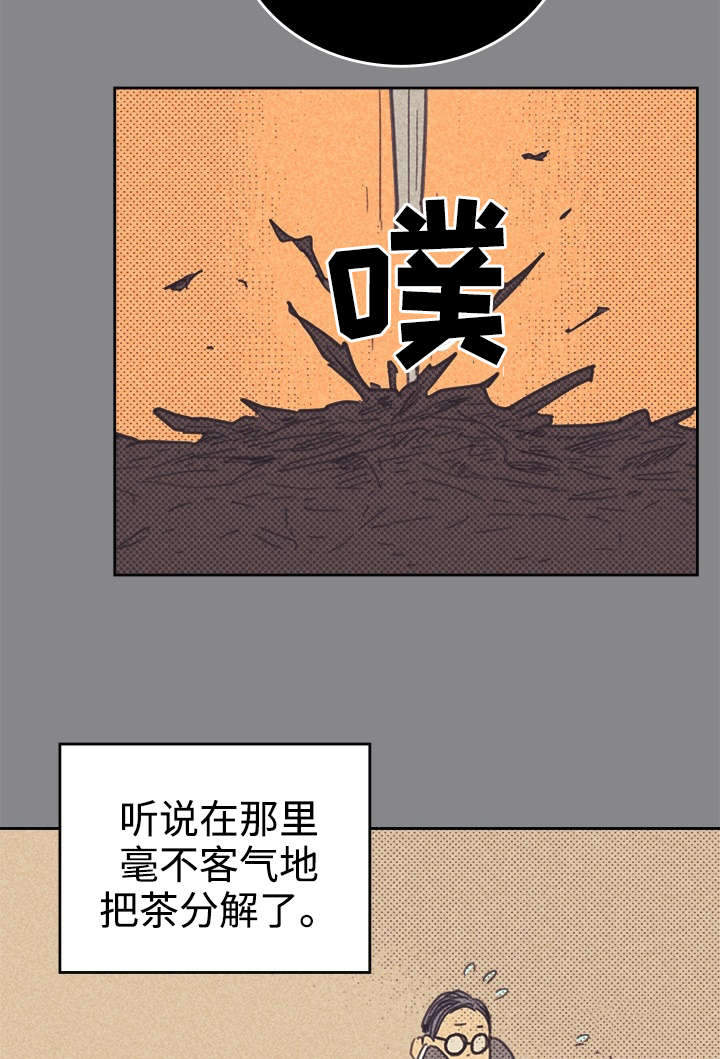 开或关 - 普洱茶 - 第29页