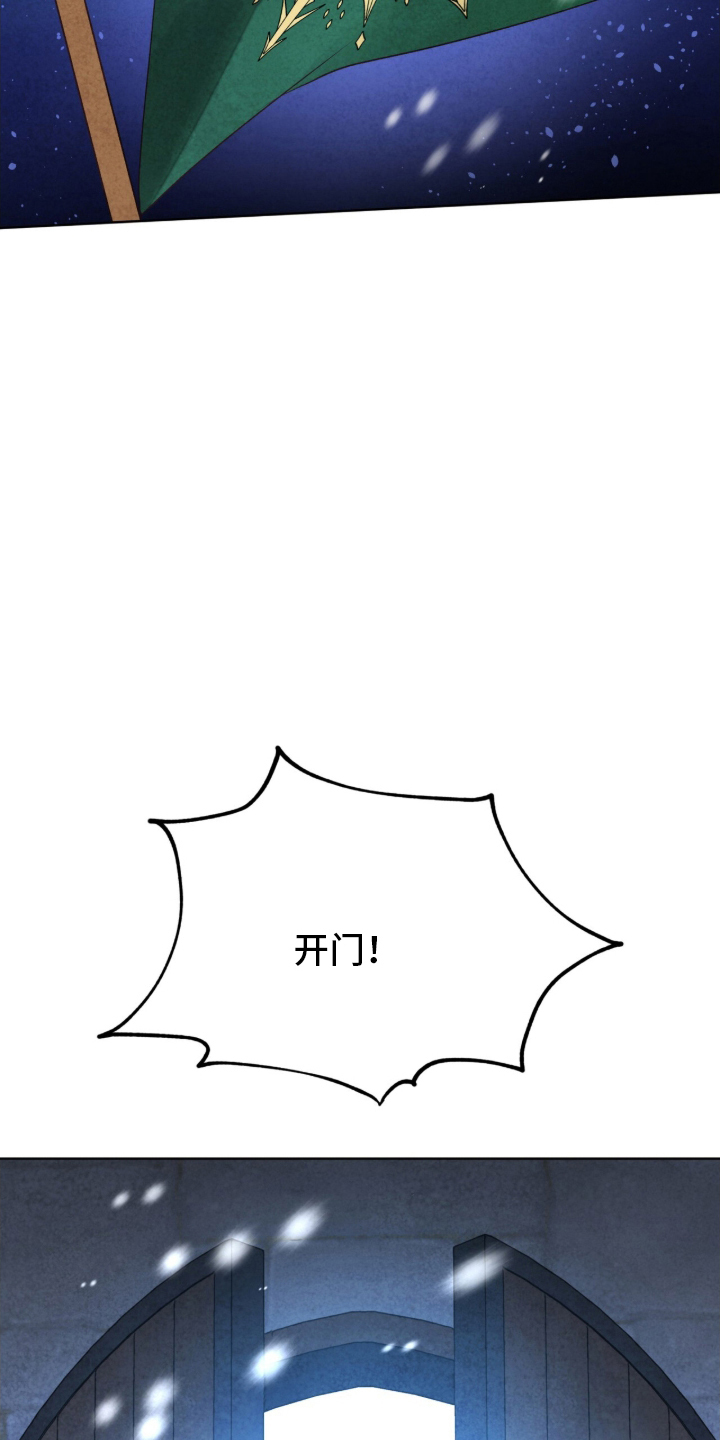 冰封的王嫁 - 公主到访 - 第11页