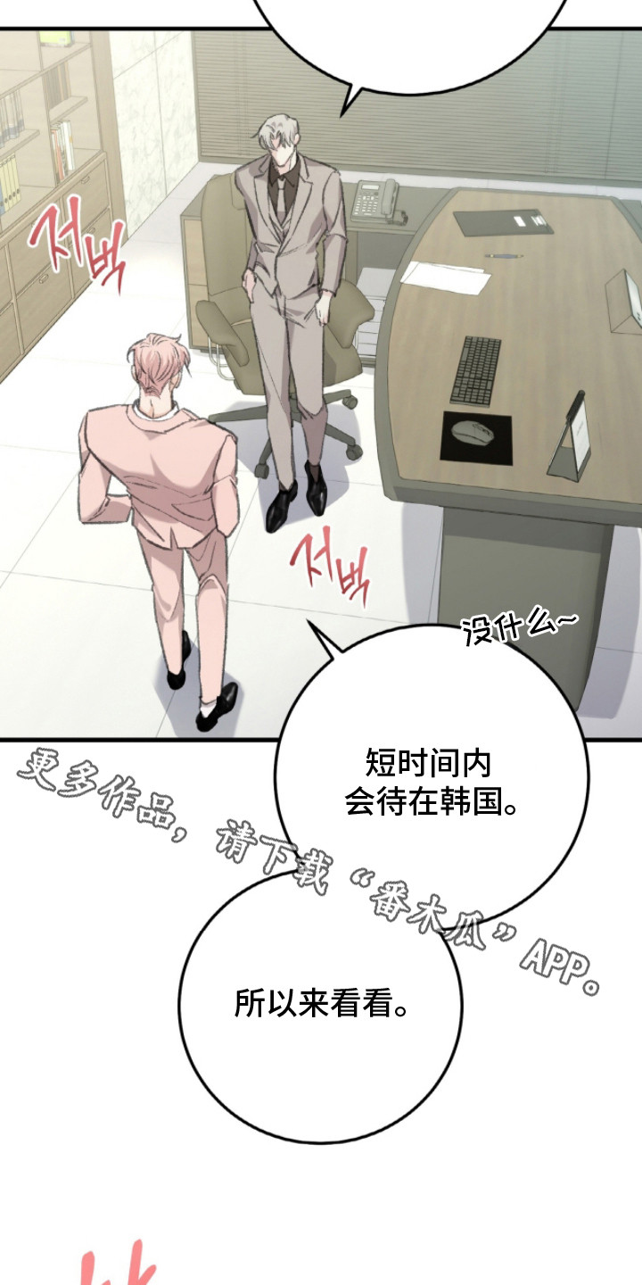 越界助理 - 请多关照 - 第12页