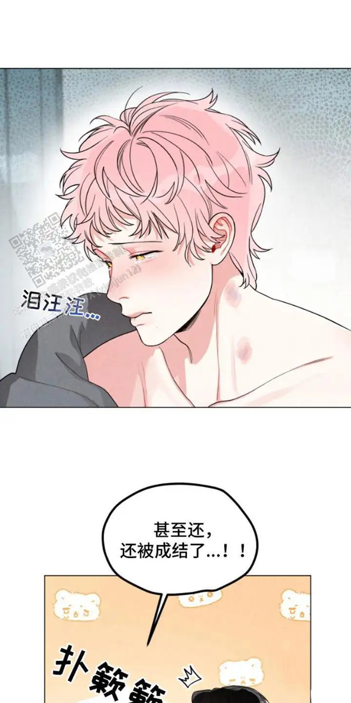 私人定制 - 腰酸背痛 - 第17页