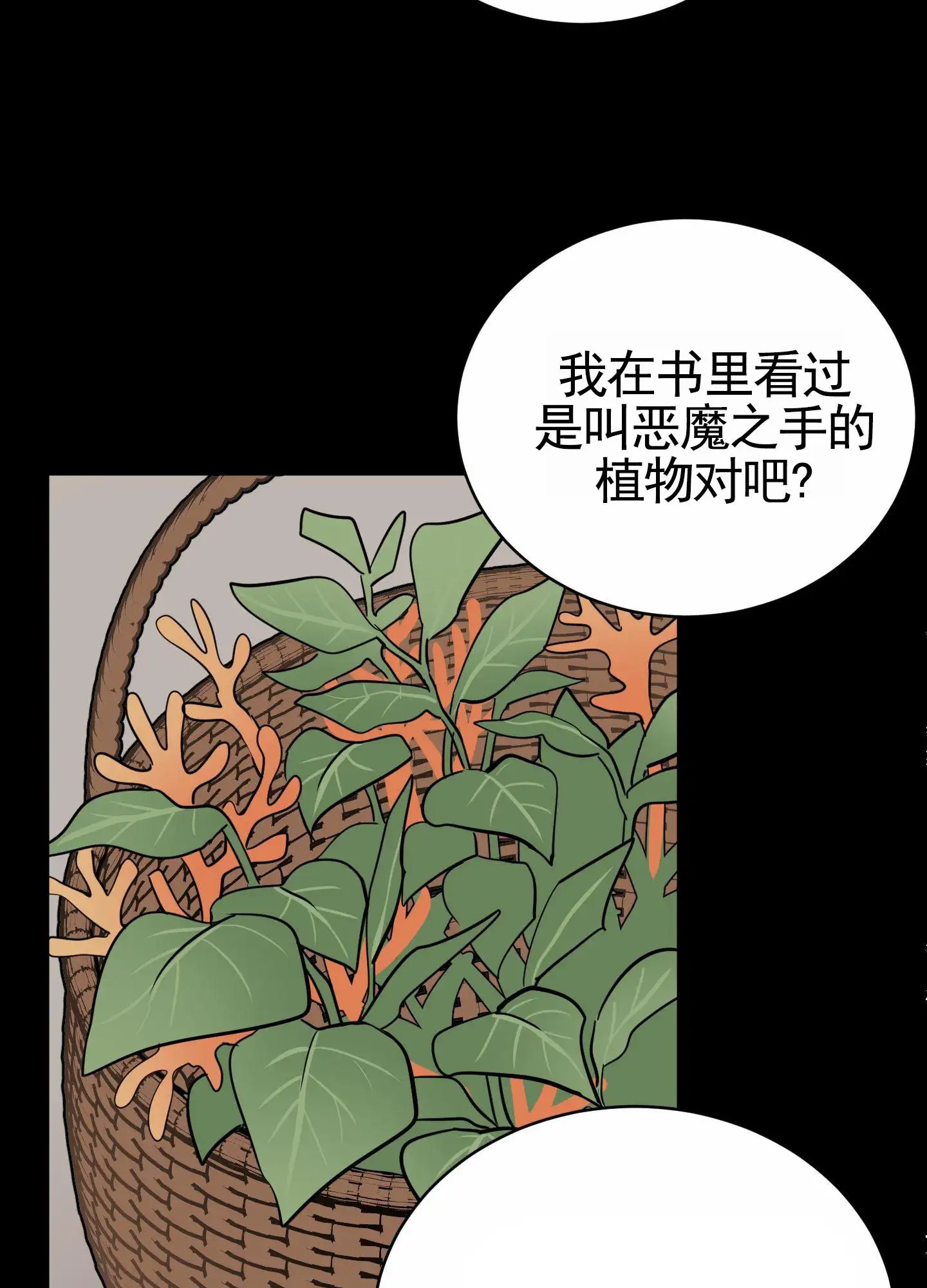 无名之花 - 遇到 - 第30页