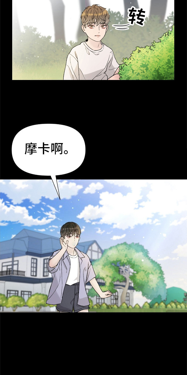 爱犬宝贝 - 摩卡 - 第19页