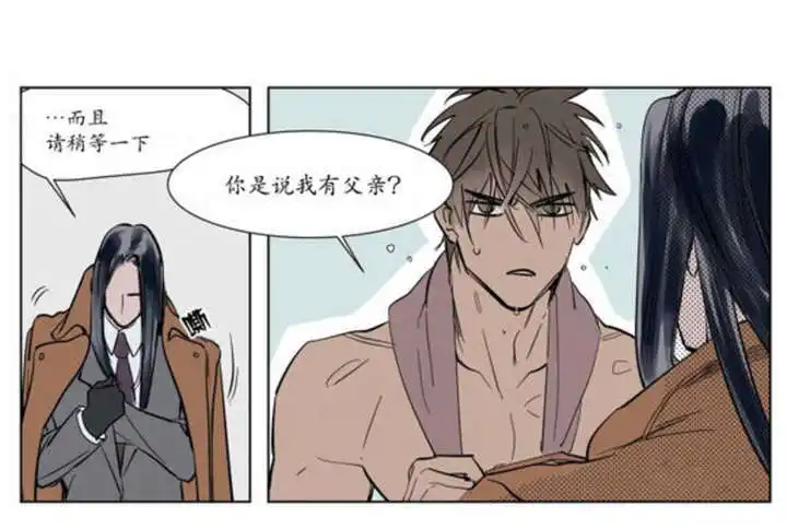 被驯服的遗产 - 父亲的死讯 - 第13页