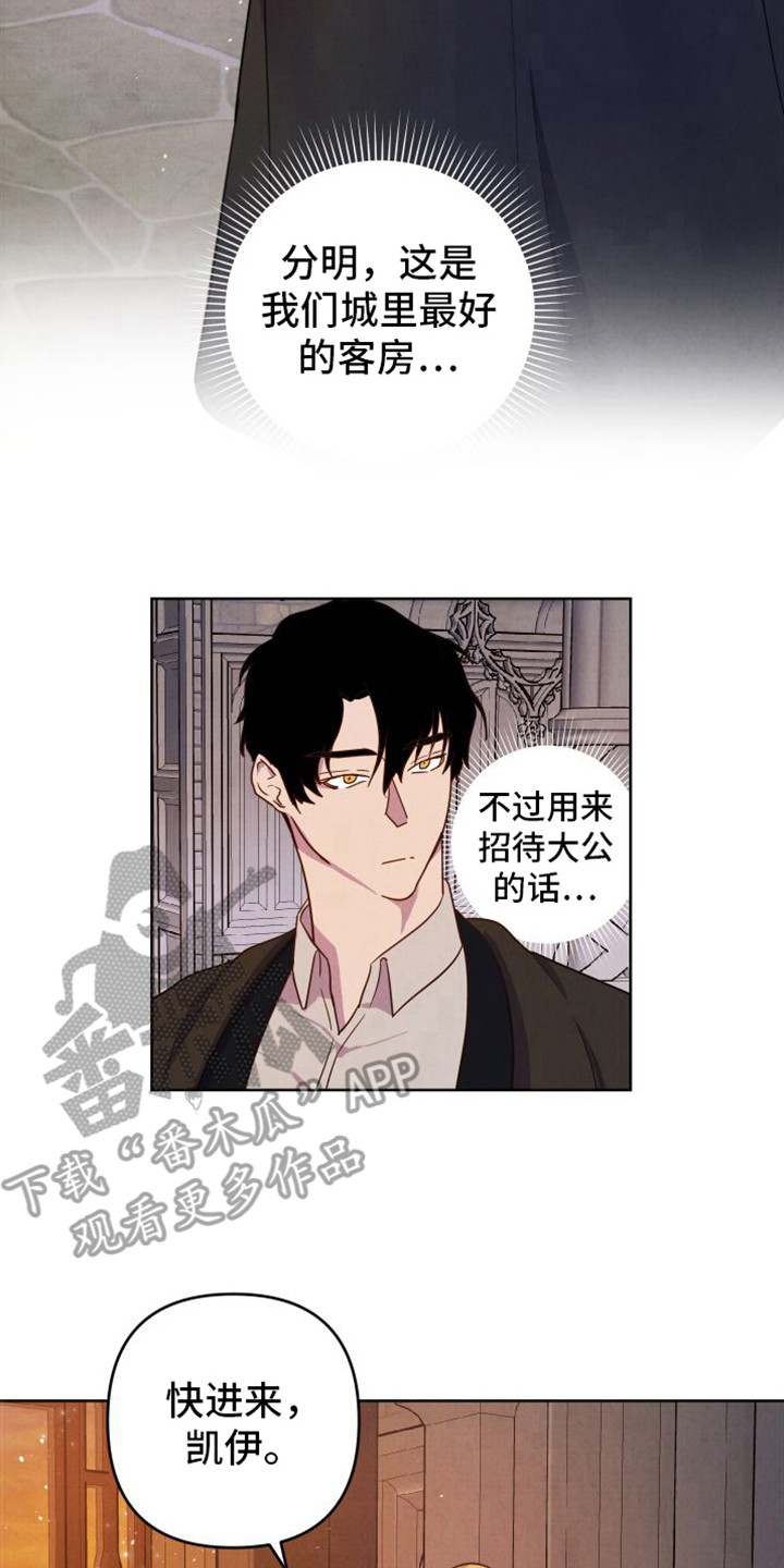 生命之花 - 印象 - 第15页