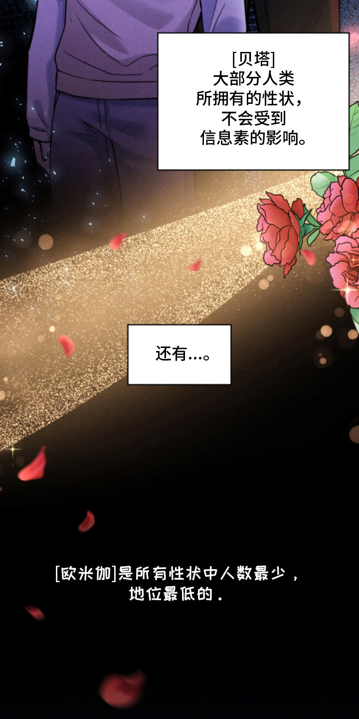 风险回报 - 时尚设计师 - 第5页