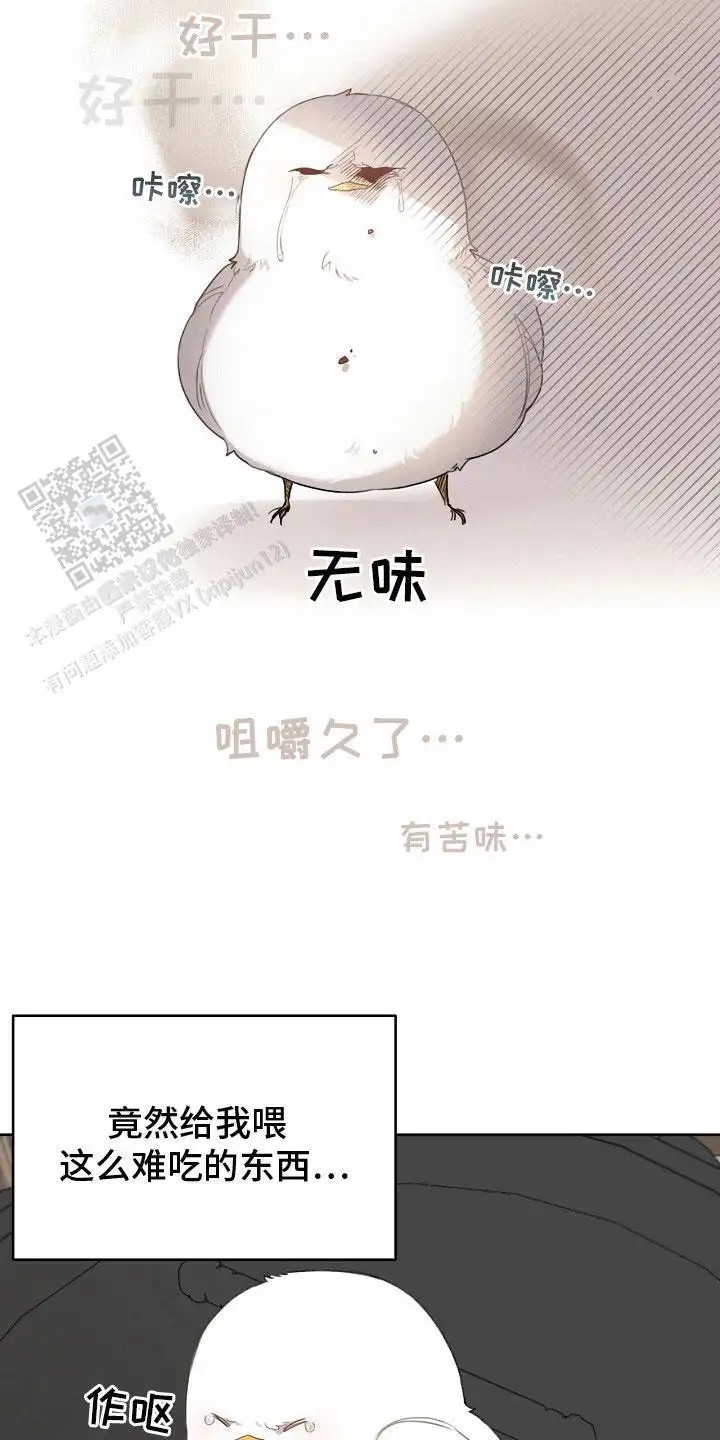 白鸟奇遇记 - 性格不好 - 第16页