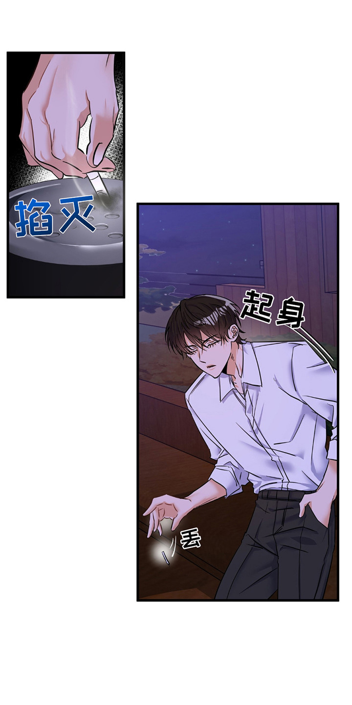 向流星申请支援 - 各走各的 - 第11页