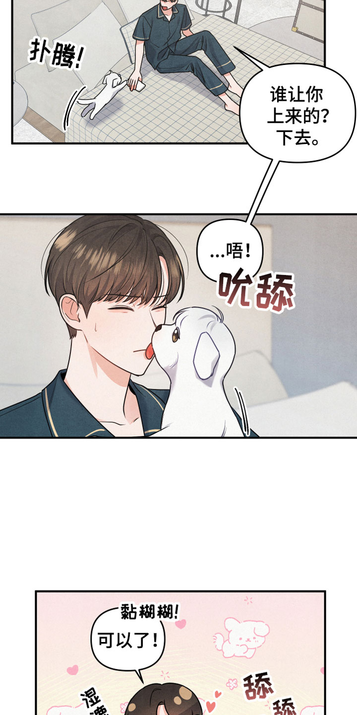 狗狗的恋爱 - 小型犬 - 第8页