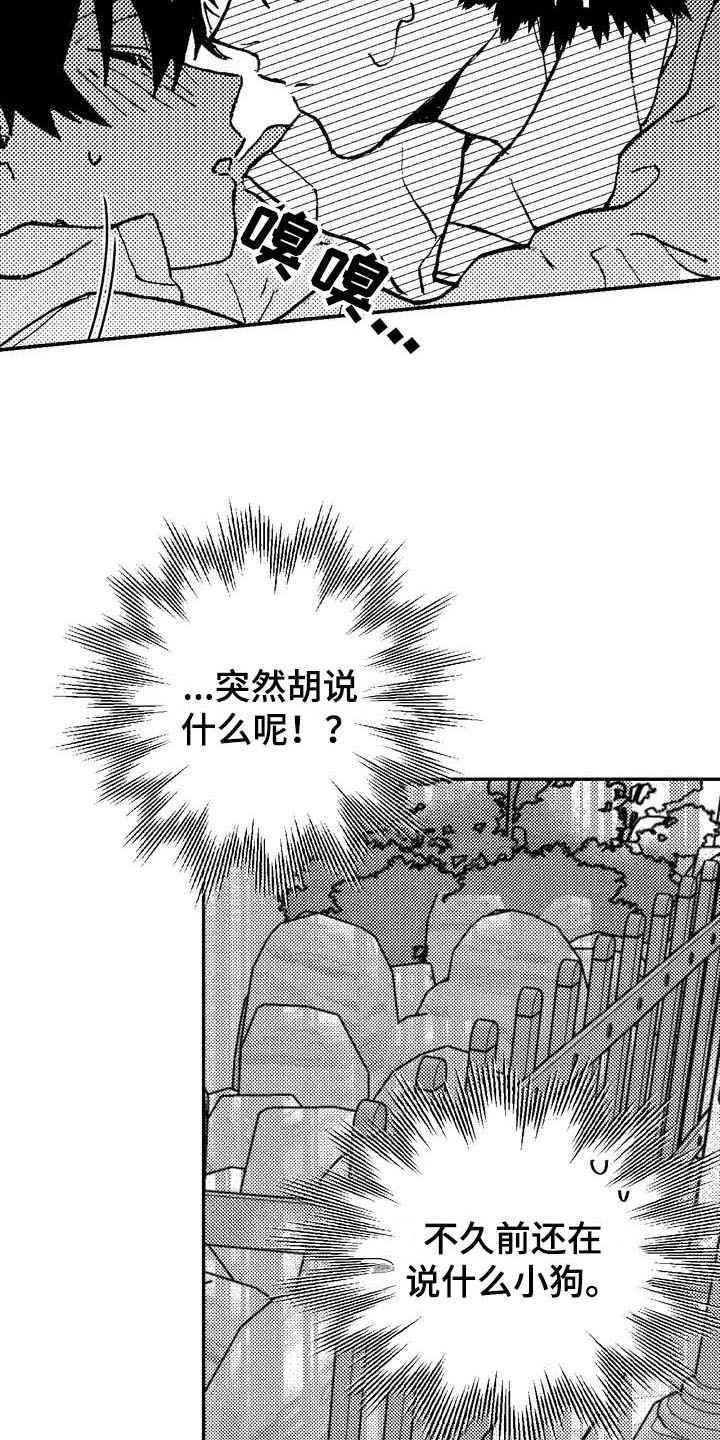 寻找你的波涛 - 特殊 - 第10页