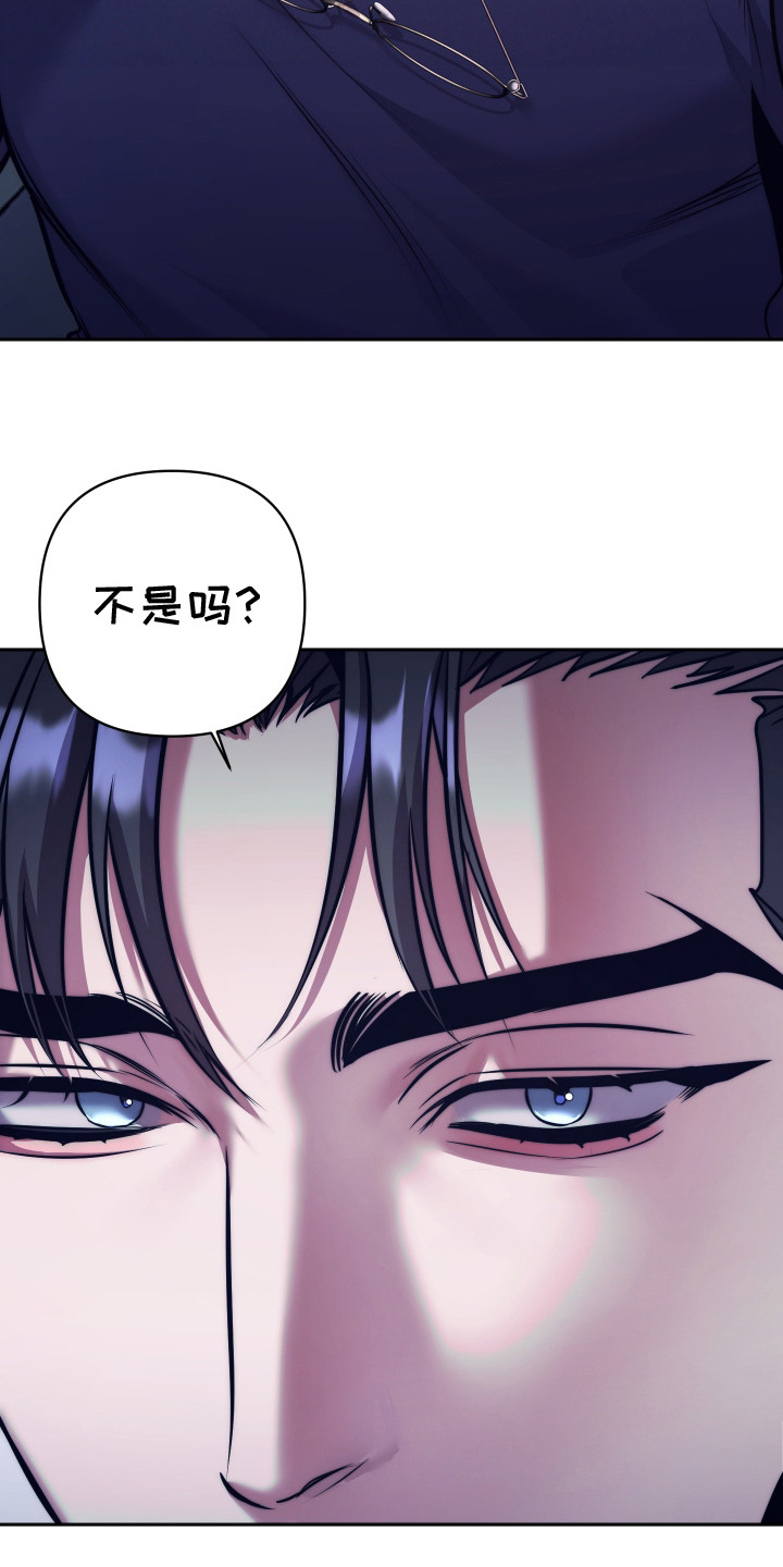 虚假烙印 - 确信 - 第17页