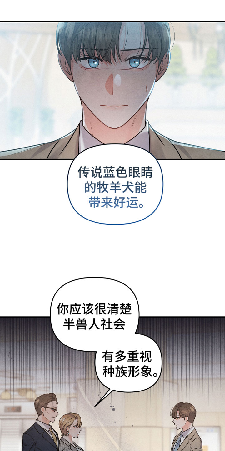 狗狗的恋爱 - 生日宴会 - 第15页