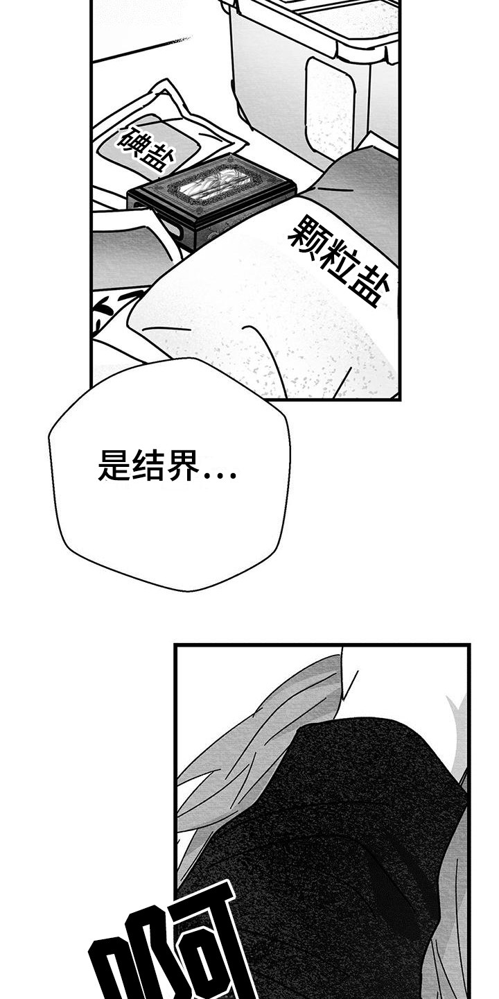 白鳞 - 新闻报道 - 第12页